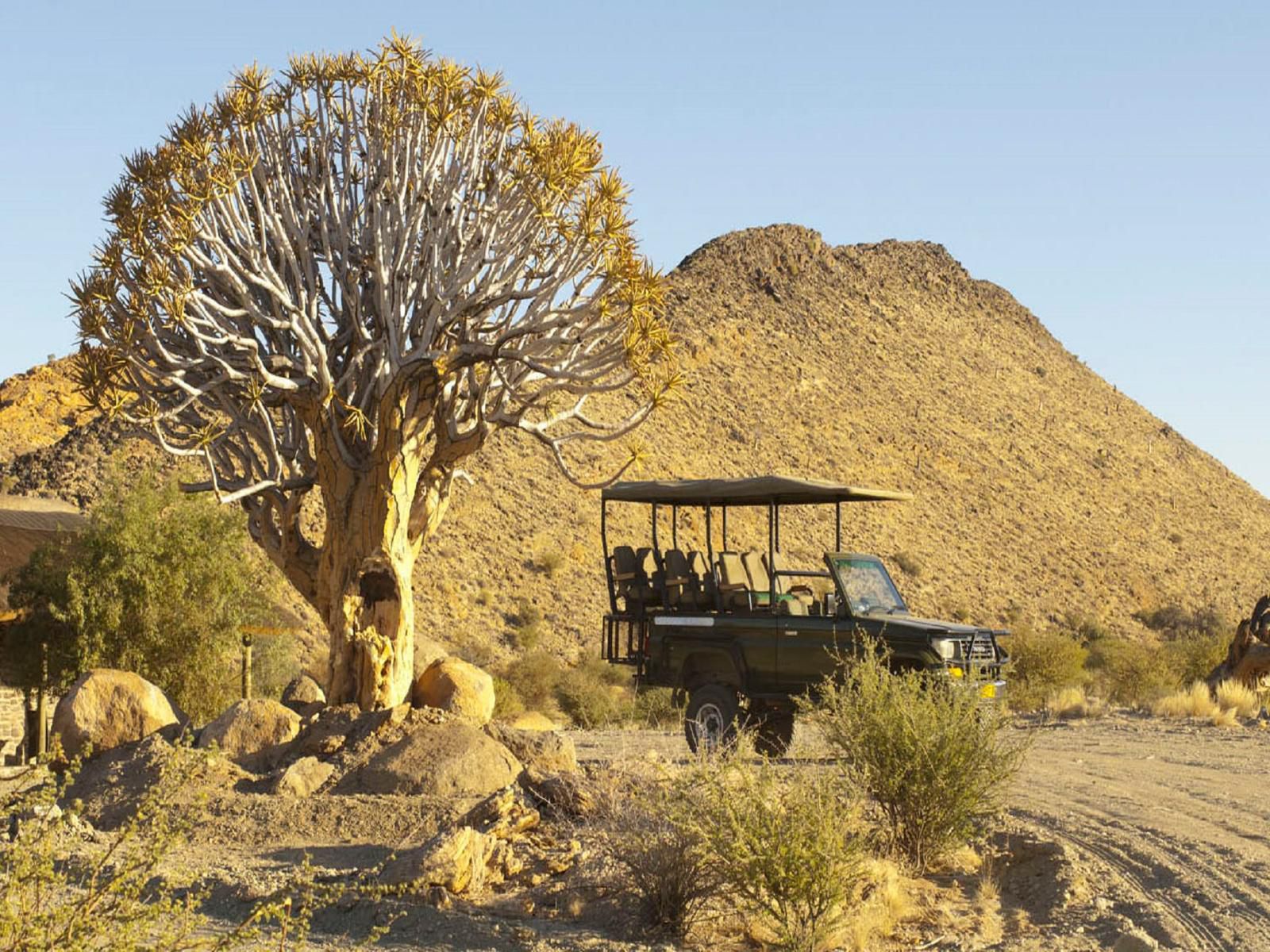 Tutwa Desert Lodge Augrabies Northern Cape South Africa Complementary Colors, Cactus, Plant, Nature, Desert, Sand