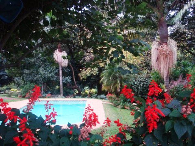 Tween Trees Patensie Eastern Cape South Africa Plant, Nature, Rose, Flower, Garden, Swimming Pool