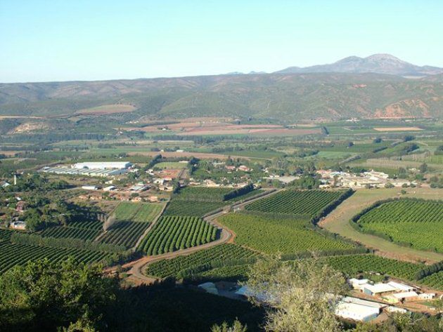 Tween Trees Patensie Eastern Cape South Africa Field, Nature, Agriculture, Wine, Drink, Aerial Photography, Highland