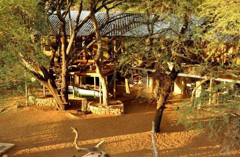 Tweerivier Game Lodge Lephalale Ellisras Limpopo Province South Africa Colorful