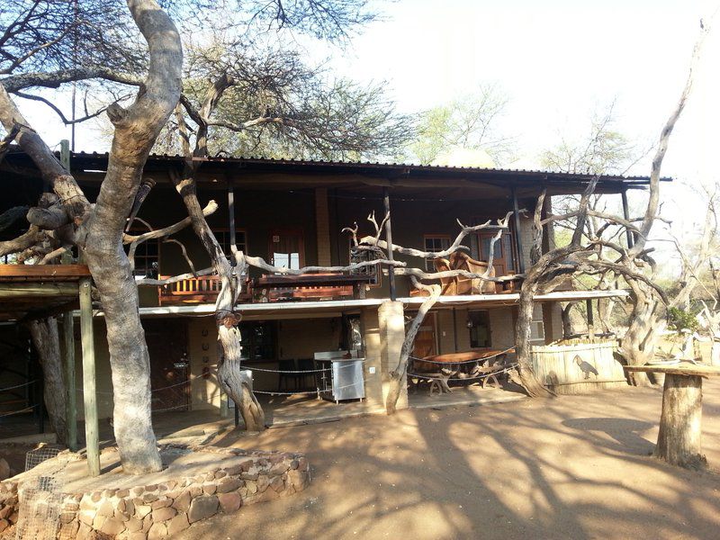 Tweerivier Game Lodge Lephalale Ellisras Limpopo Province South Africa 