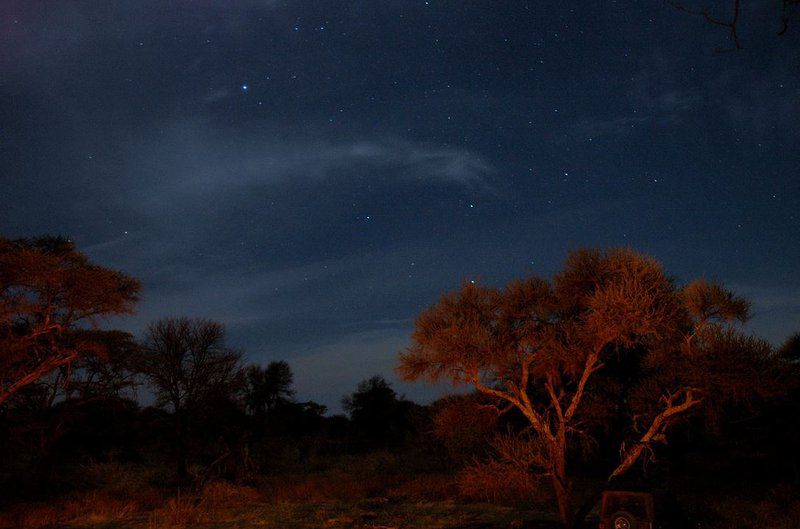 Tweerivier Game Lodge Lephalale Ellisras Limpopo Province South Africa Nature, Night Sky