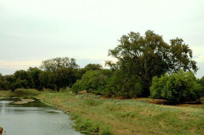 Tweerivier Game Lodge Lephalale Ellisras Limpopo Province South Africa River, Nature, Waters, Tree, Plant, Wood, Lowland