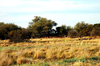 Tweerivier Game Lodge Lephalale Ellisras Limpopo Province South Africa Field, Nature, Agriculture, Lowland