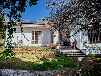 Twickenham Guest House Auckland Park Johannesburg Gauteng South Africa House, Building, Architecture, Garden, Nature, Plant