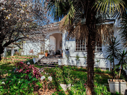 Twickenham Guest House Auckland Park Johannesburg Gauteng South Africa House, Building, Architecture, Palm Tree, Plant, Nature, Wood, Garden