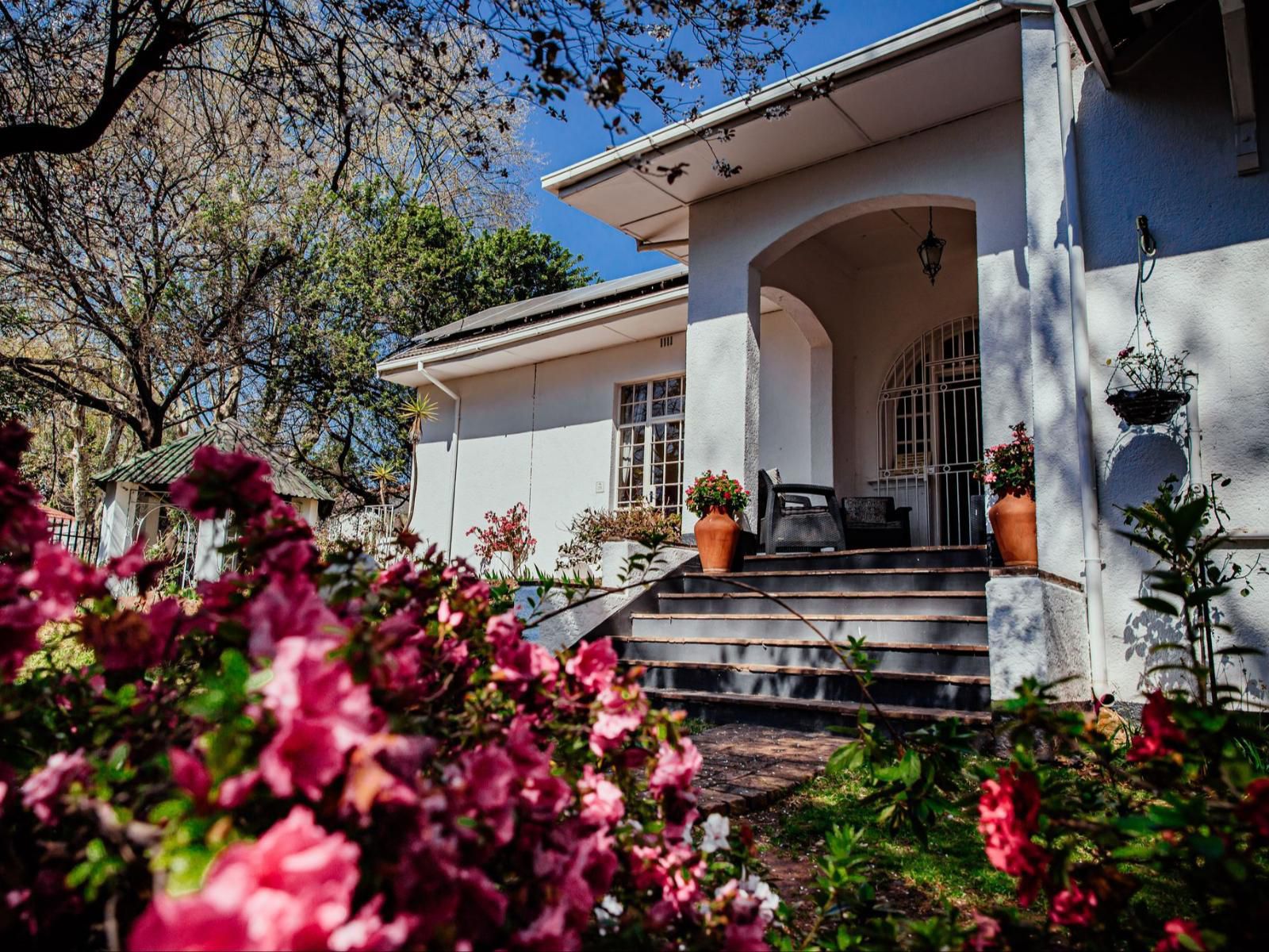 Twickenham Guest House Auckland Park Johannesburg Gauteng South Africa House, Building, Architecture, Garden, Nature, Plant