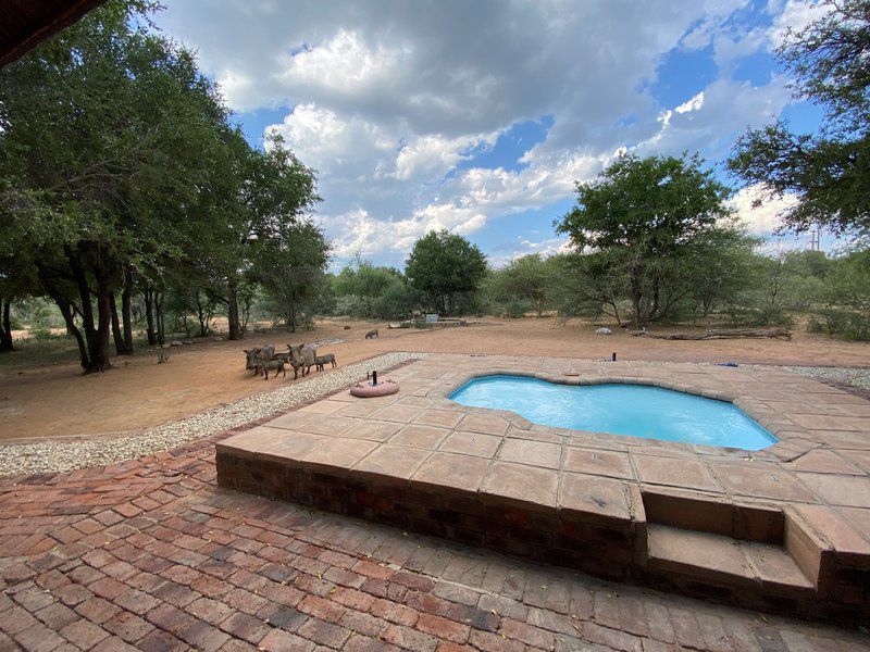 Twiga Lodge Mabalingwe Mabalingwe Nature Reserve Bela Bela Warmbaths Limpopo Province South Africa Complementary Colors, Swimming Pool