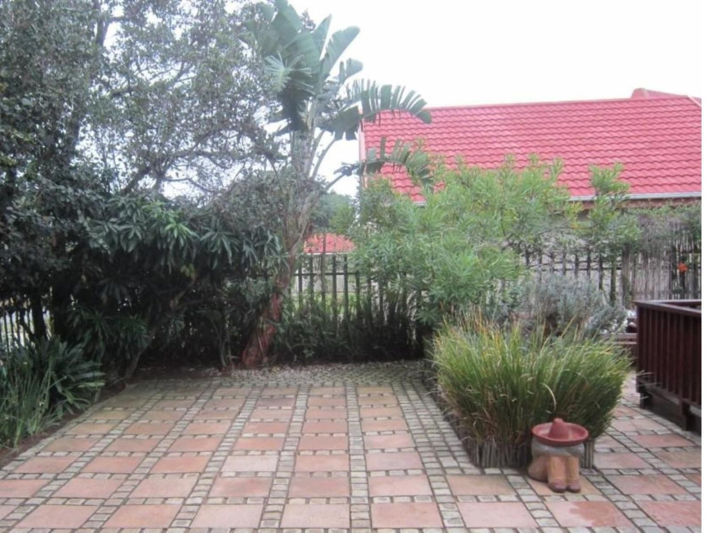 Twilight Cottage, Palm Tree, Plant, Nature, Wood, Garden