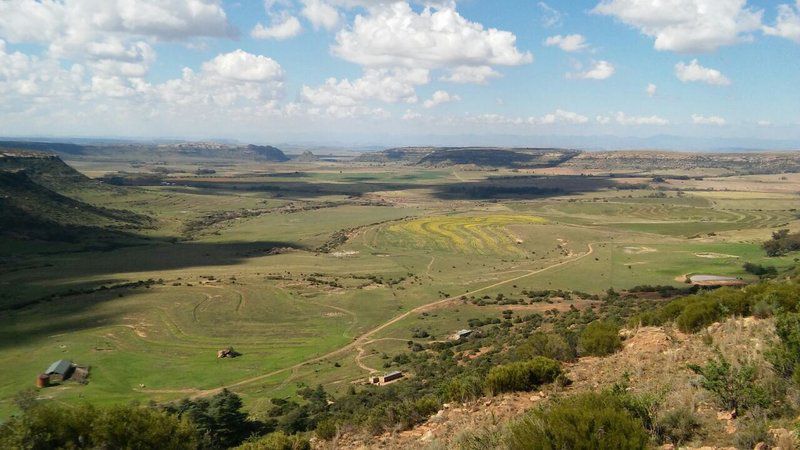 Twin Oaks Guest Farm Ladybrand Free State South Africa Canyon, Nature, Aerial Photography, Lowland