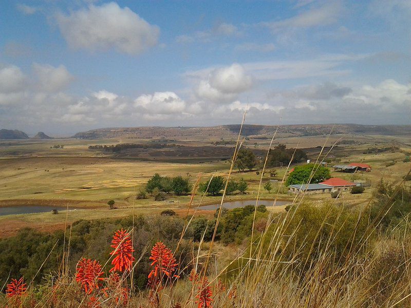 Twin Oaks Guest Farm Ladybrand Free State South Africa Lowland, Nature