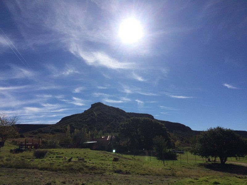 Twin Oaks Guest Farm Ladybrand Free State South Africa Nature