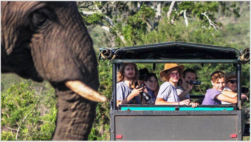 Face, Person, Three Faces, Group, Camera, Technology, Frontal Face, 2 Night St Lucia Safari Package, St Lucia, St Lucia