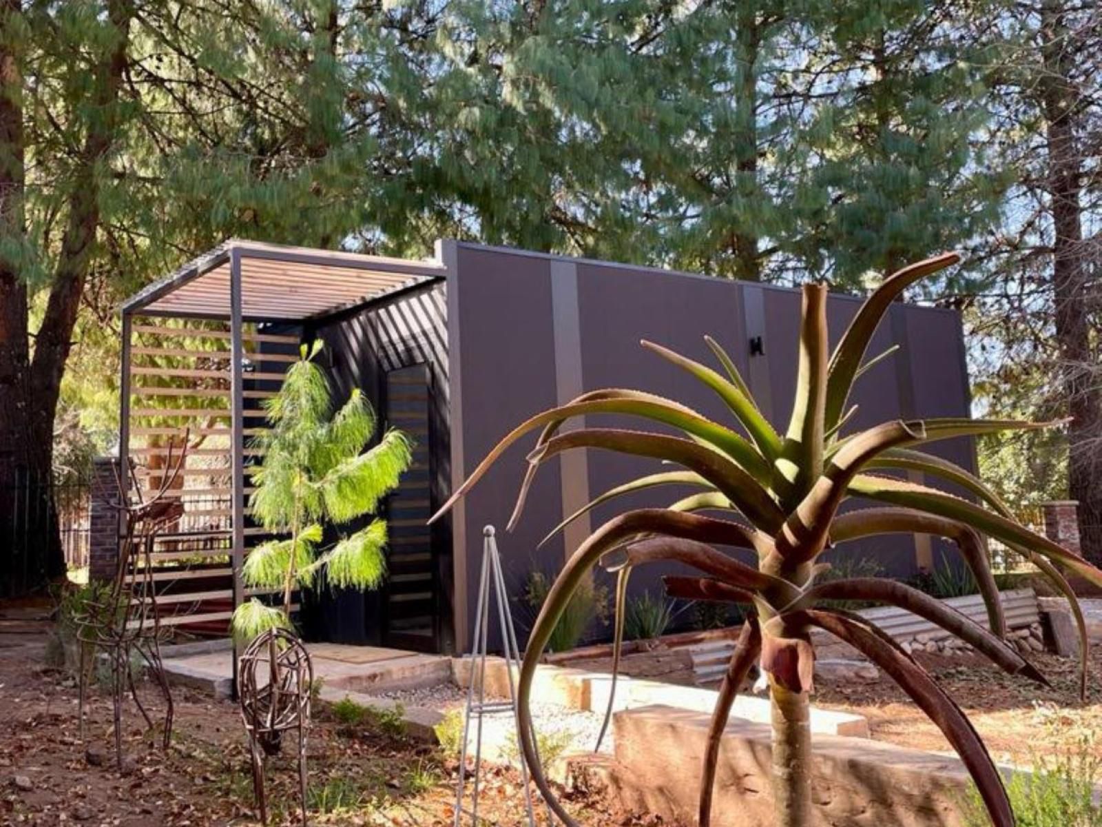 Two White Oaks Luxury Prefab Bungalows Dullstroom Mpumalanga South Africa Plant, Nature