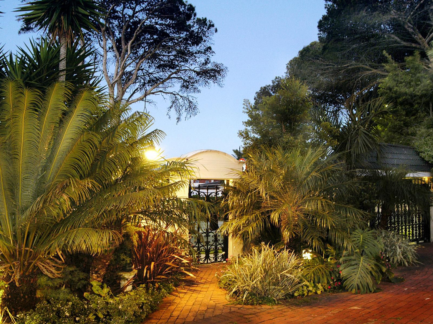 Two King George S Guest House Mill Park Port Elizabeth Eastern Cape South Africa Palm Tree, Plant, Nature, Wood, Garden