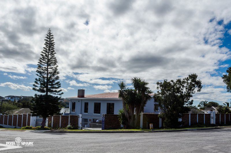 Tyday Newton Park Port Elizabeth Eastern Cape South Africa House, Building, Architecture, Palm Tree, Plant, Nature, Wood, Tower