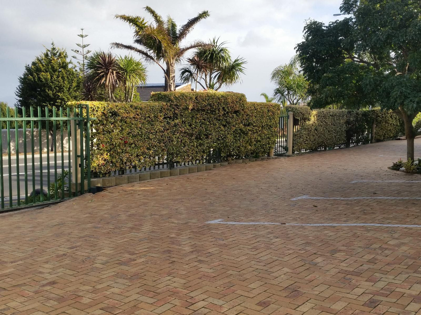 Tyger Hills Loevenstein Cape Town Western Cape South Africa Gate, Architecture, House, Building, Palm Tree, Plant, Nature, Wood, Garden