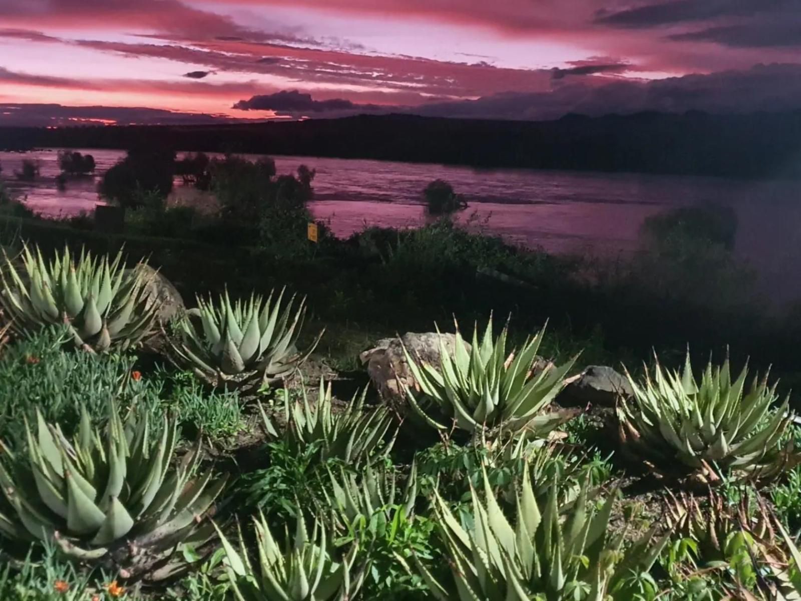 Tzamenkomst River Lodge Colesberg Northern Cape South Africa Nature