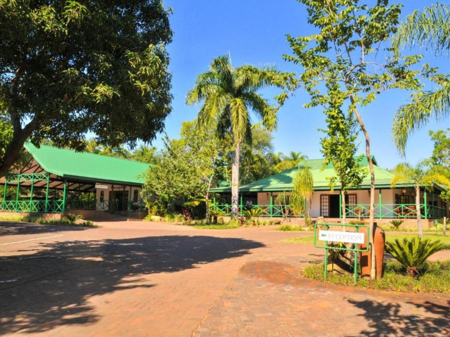 Tzaneen Country Lodge Tzaneen Limpopo Province South Africa Complementary Colors, Island, Nature, Palm Tree, Plant, Wood