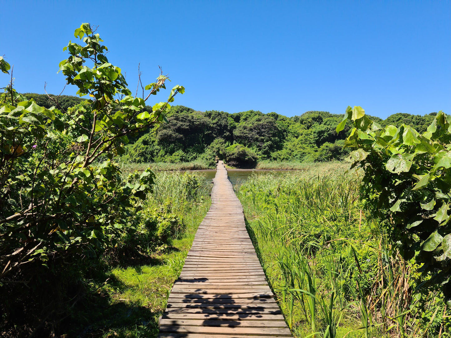  uMhlanga Lagoon Nature Reserve