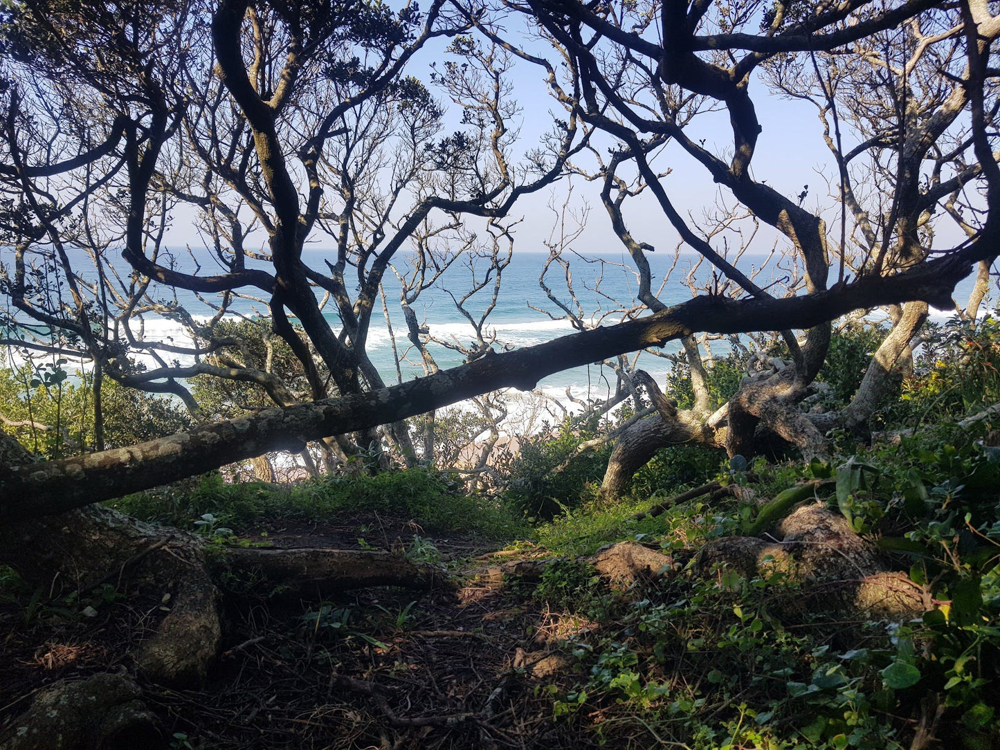  uMhlanga Lagoon Nature Reserve