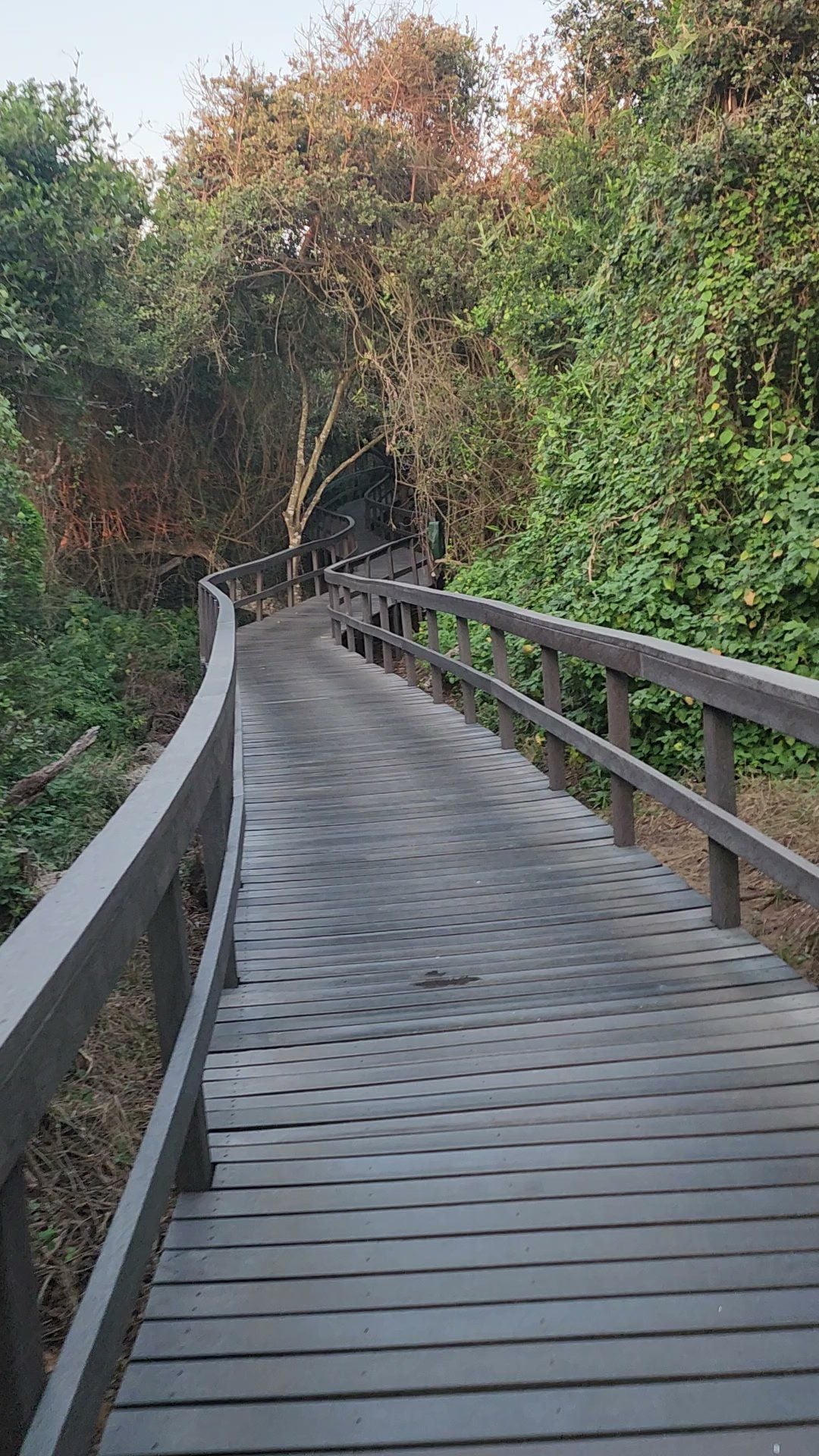  uMhlanga Lagoon Nature Reserve