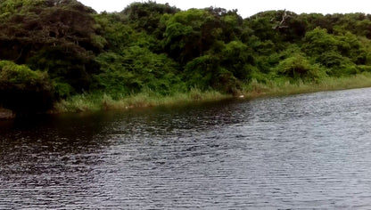  uMhlanga Lagoon Nature Reserve