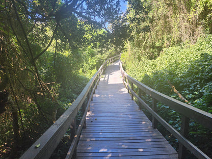  uMhlanga Lagoon Nature Reserve