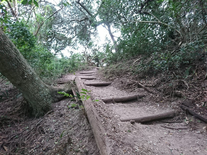  uMhlanga Lagoon Nature Reserve