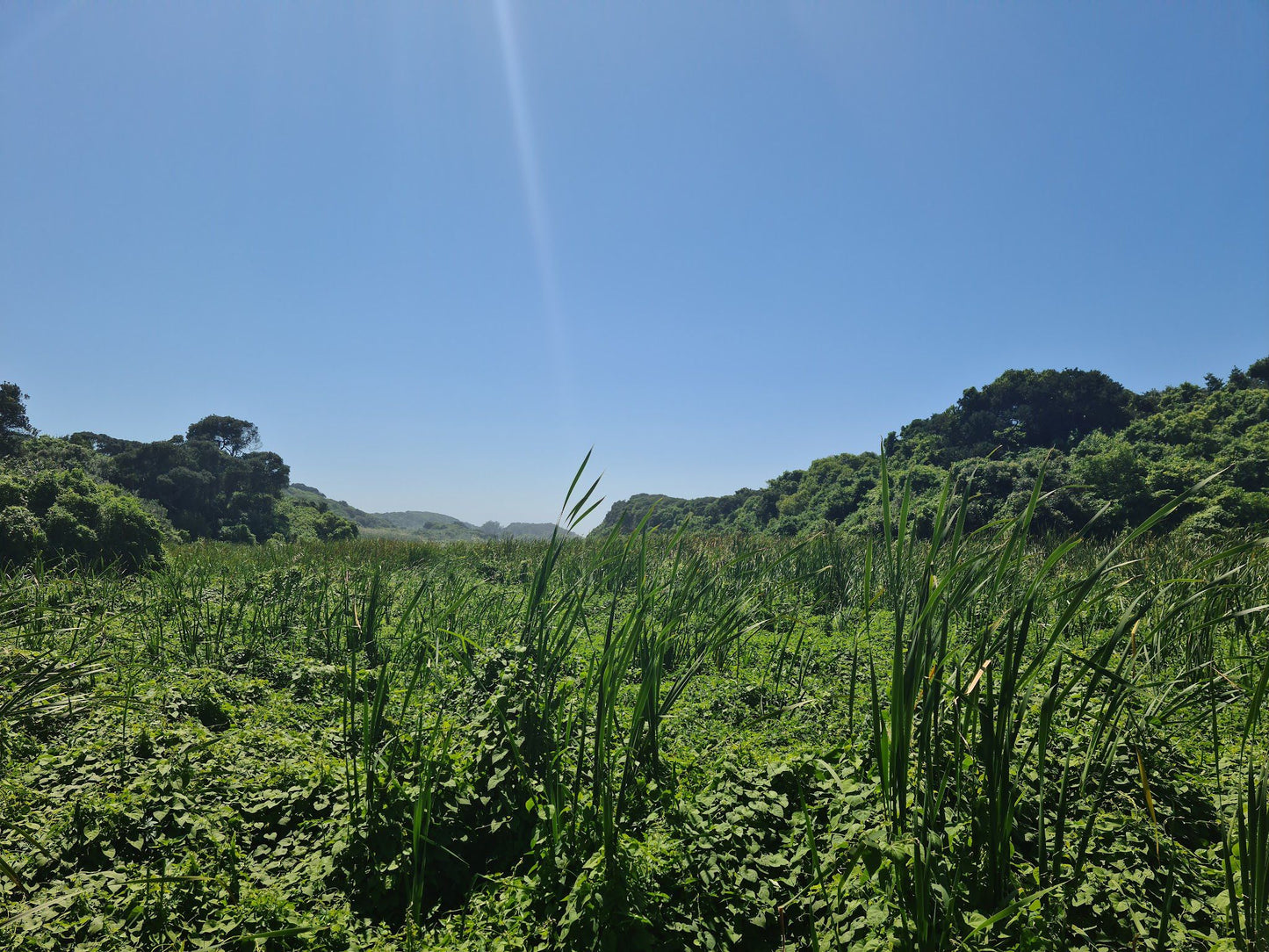  uMhlanga Lagoon Nature Reserve