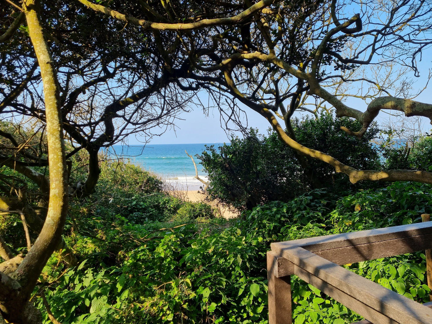  uMhlanga Lagoon Nature Reserve