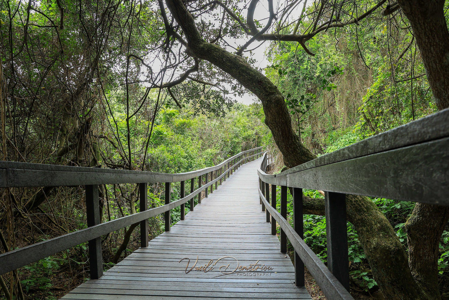  uMhlanga Lagoon Nature Reserve