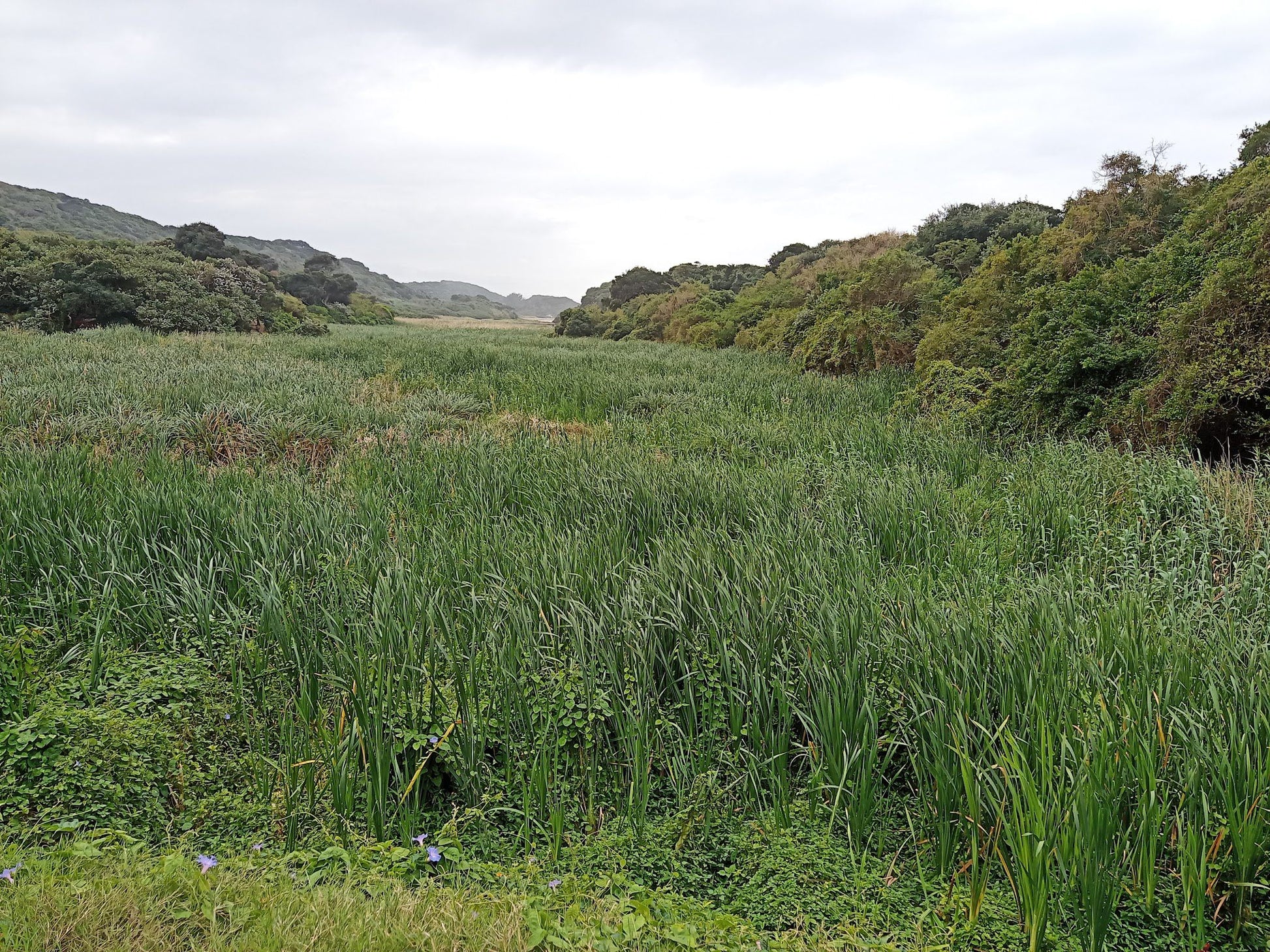  uMhlanga Lagoon Nature Reserve