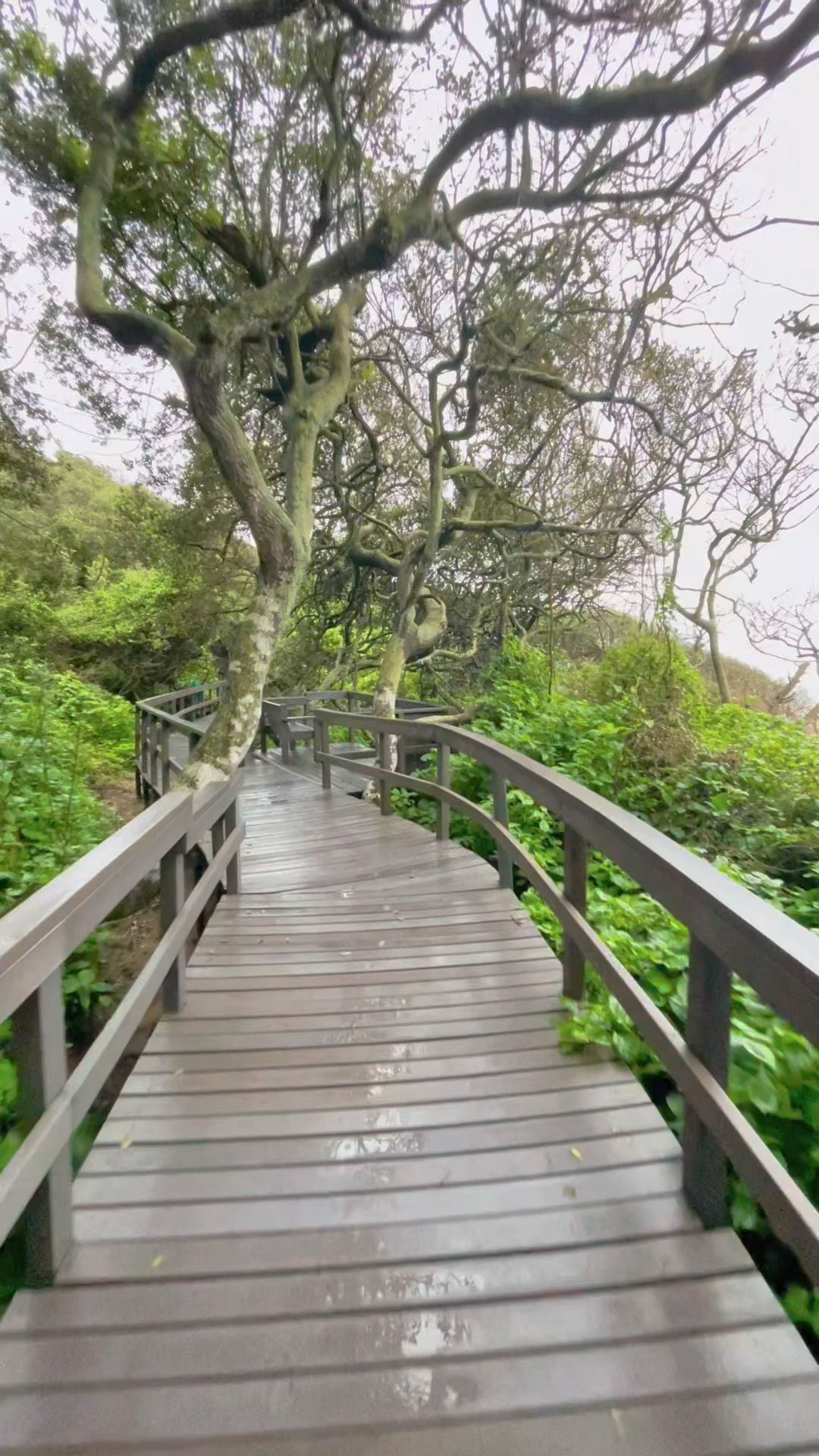  uMhlanga Lagoon Nature Reserve