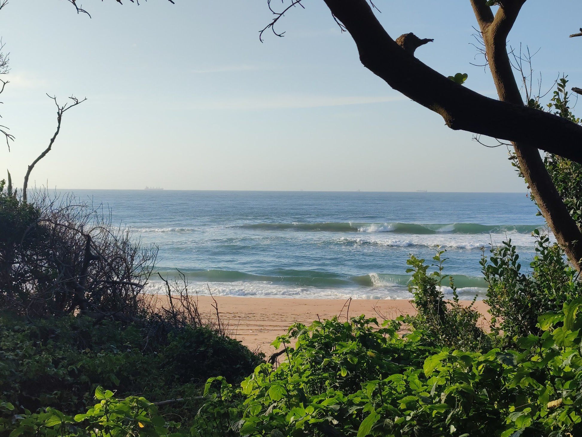  uMhlanga Lagoon Nature Reserve