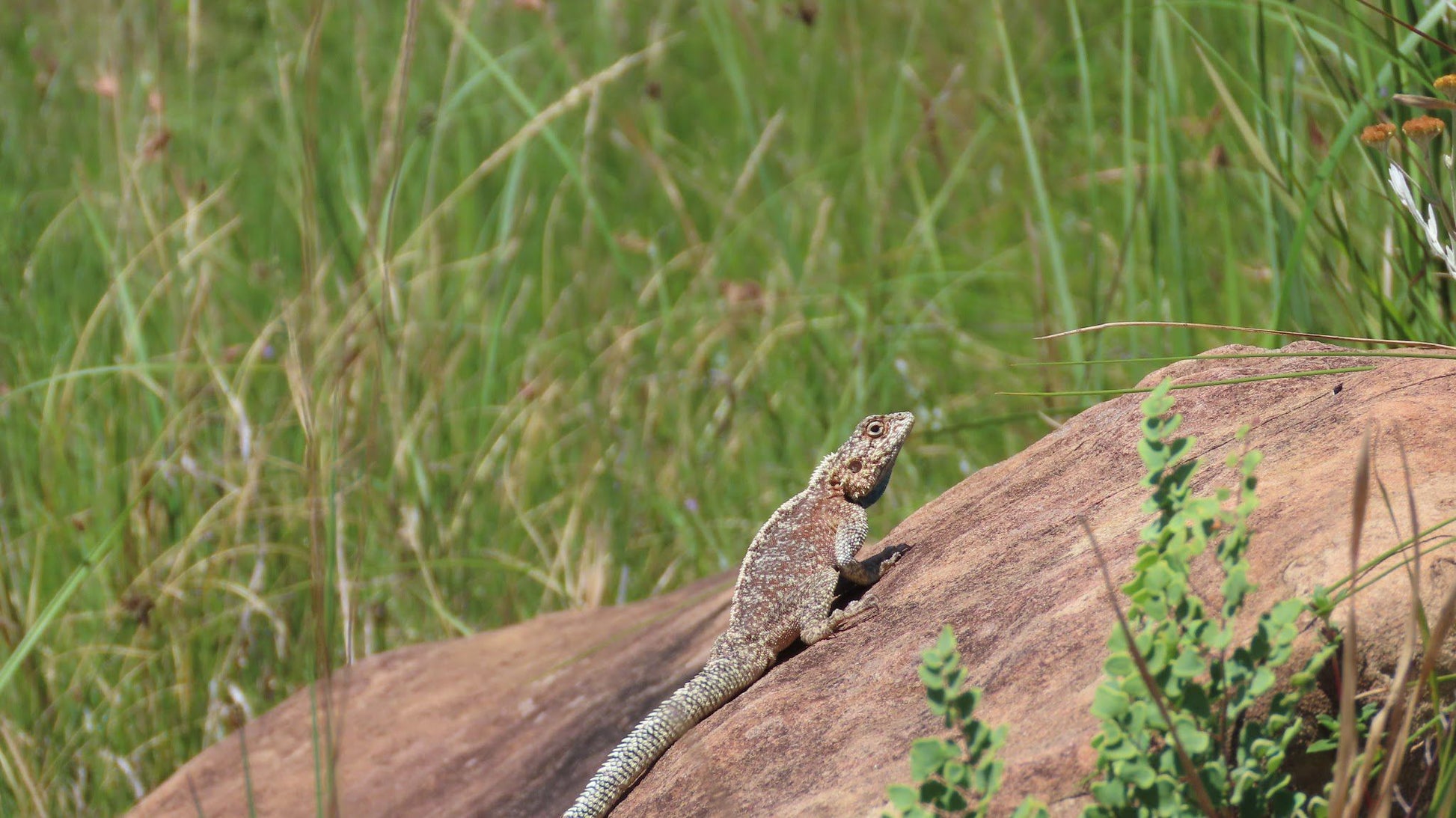  uMkhomazi Nature Reserve