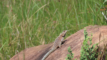  uMkhomazi Nature Reserve