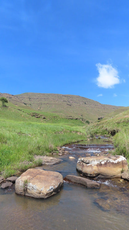  uMkhomazi Nature Reserve