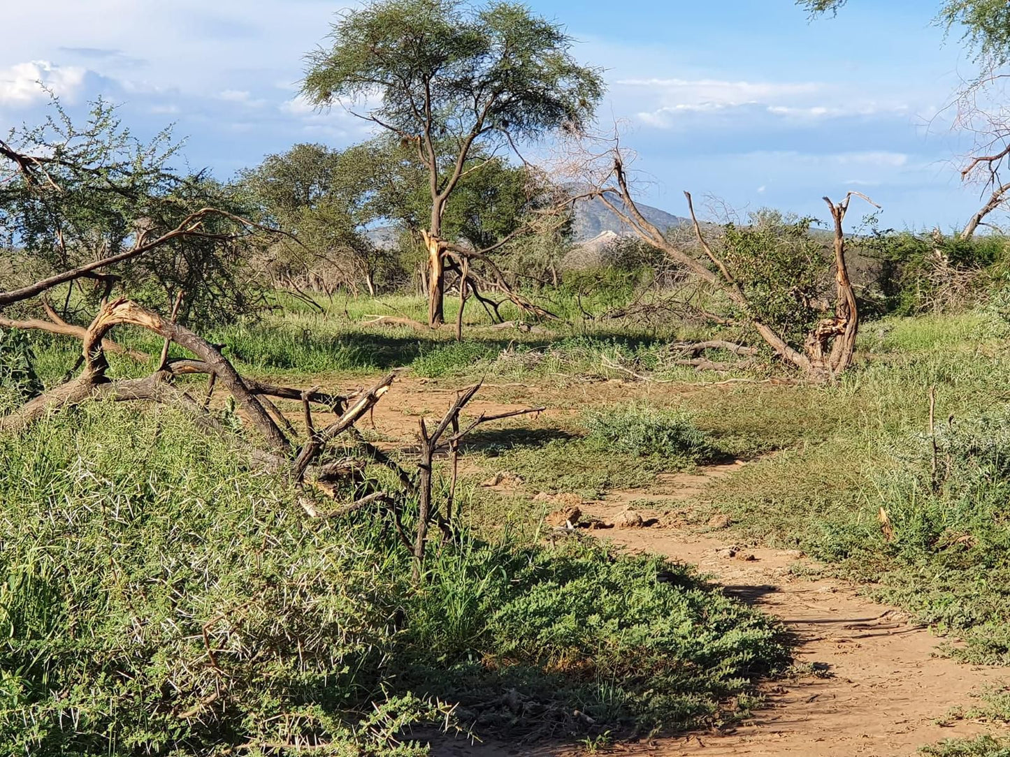 Ugab Game Farm & Lodge, Lowland, Nature