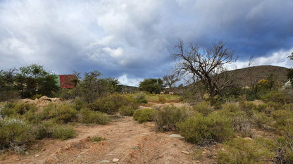 Uitvlugt Cottages Mcgregor Western Cape South Africa Complementary Colors, Cactus, Plant, Nature