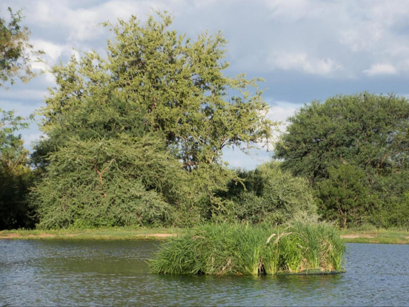 Ujabule Lodge Hoedspruit Limpopo Province South Africa River, Nature, Waters, Tree, Plant, Wood