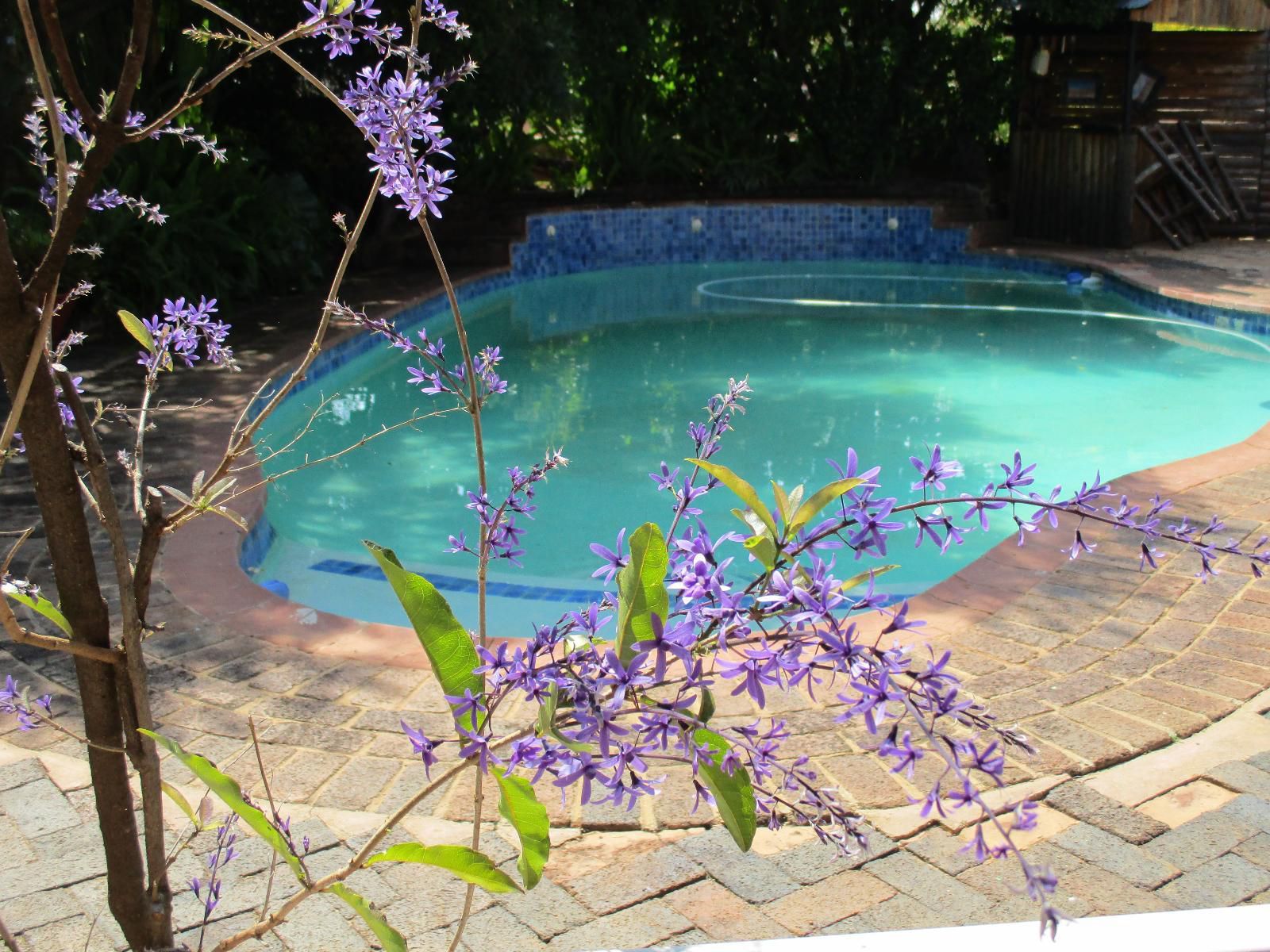 Ukarimu Guest House Klerksdorp North West Province South Africa Complementary Colors, Plant, Nature, Garden, Swimming Pool