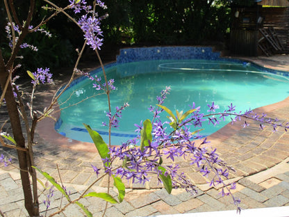 Ukarimu Guest House Klerksdorp North West Province South Africa Complementary Colors, Plant, Nature, Garden, Swimming Pool