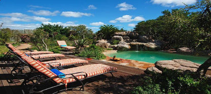 Kariega Game Reserve Ukhozi Lodge Kenton On Sea Eastern Cape South Africa Complementary Colors, Palm Tree, Plant, Nature, Wood, Garden, Swimming Pool