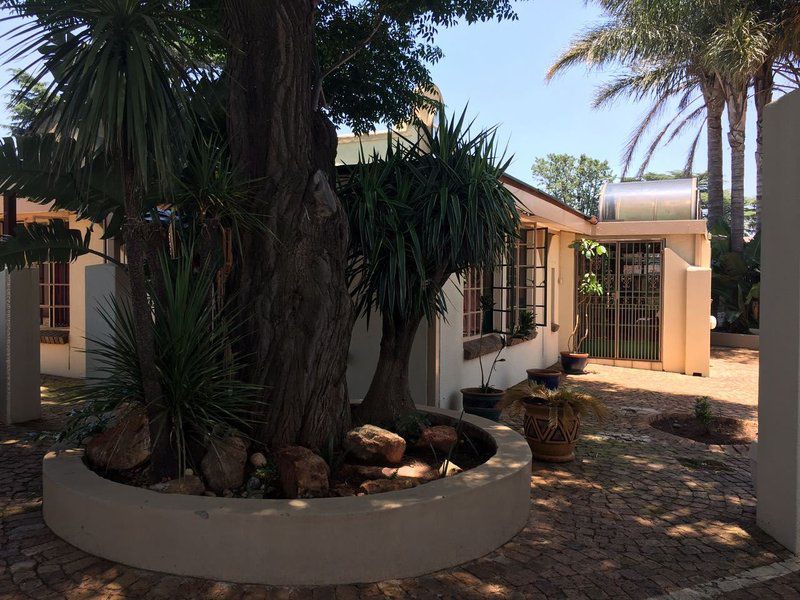 Ukulala Guest House Springs Gauteng South Africa Palm Tree, Plant, Nature, Wood