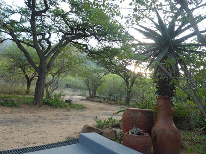 Ukuthula Self Catering Cottages Kampersrus Limpopo Province South Africa Plant, Nature