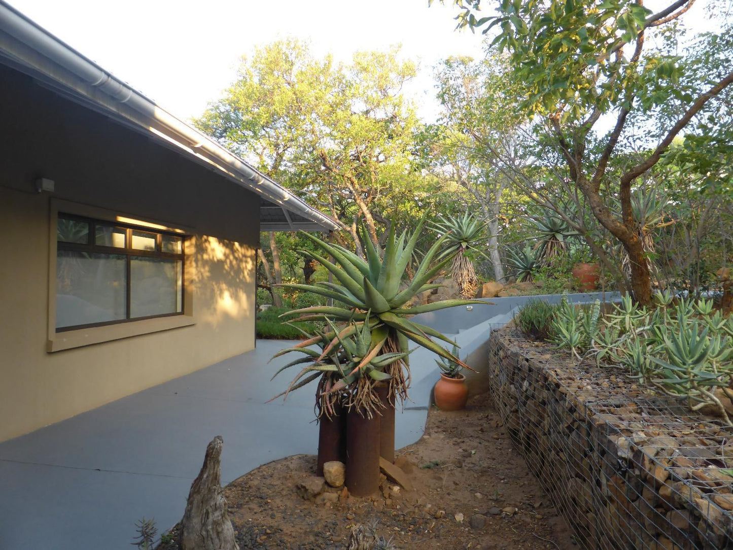 Ukuthula Self Catering Cottages Kampersrus Limpopo Province South Africa Cactus, Plant, Nature, Palm Tree, Wood, Garden