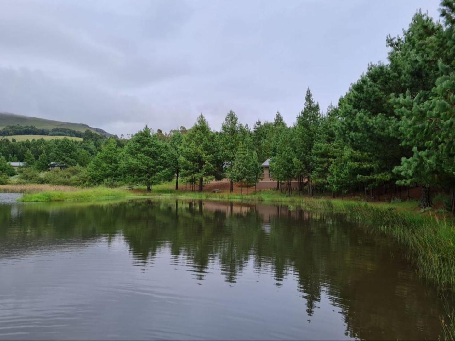 Ukutula Resort Dullstroom Mpumalanga South Africa Complementary Colors, River, Nature, Waters, Tree, Plant, Wood, Highland