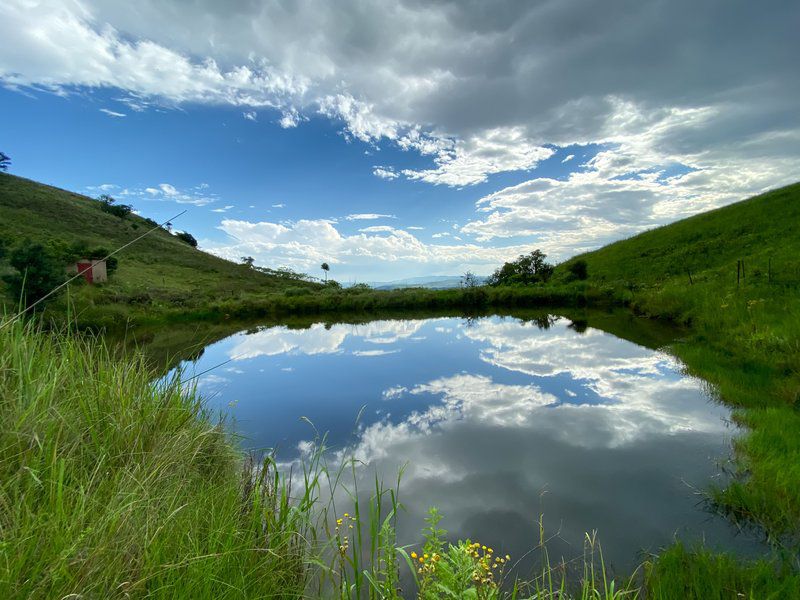 Ultima Thule Cottages Currys Post Kwazulu Natal South Africa Complementary Colors, Meadow, Nature