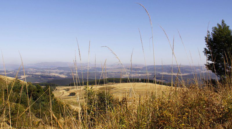 Ultima Thule Cottages Currys Post Kwazulu Natal South Africa Complementary Colors, Field, Nature, Agriculture